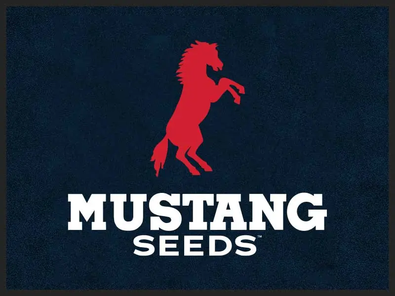 MAT-AMUSTANG.webp