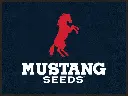 MAT-AMUSTANG.webp