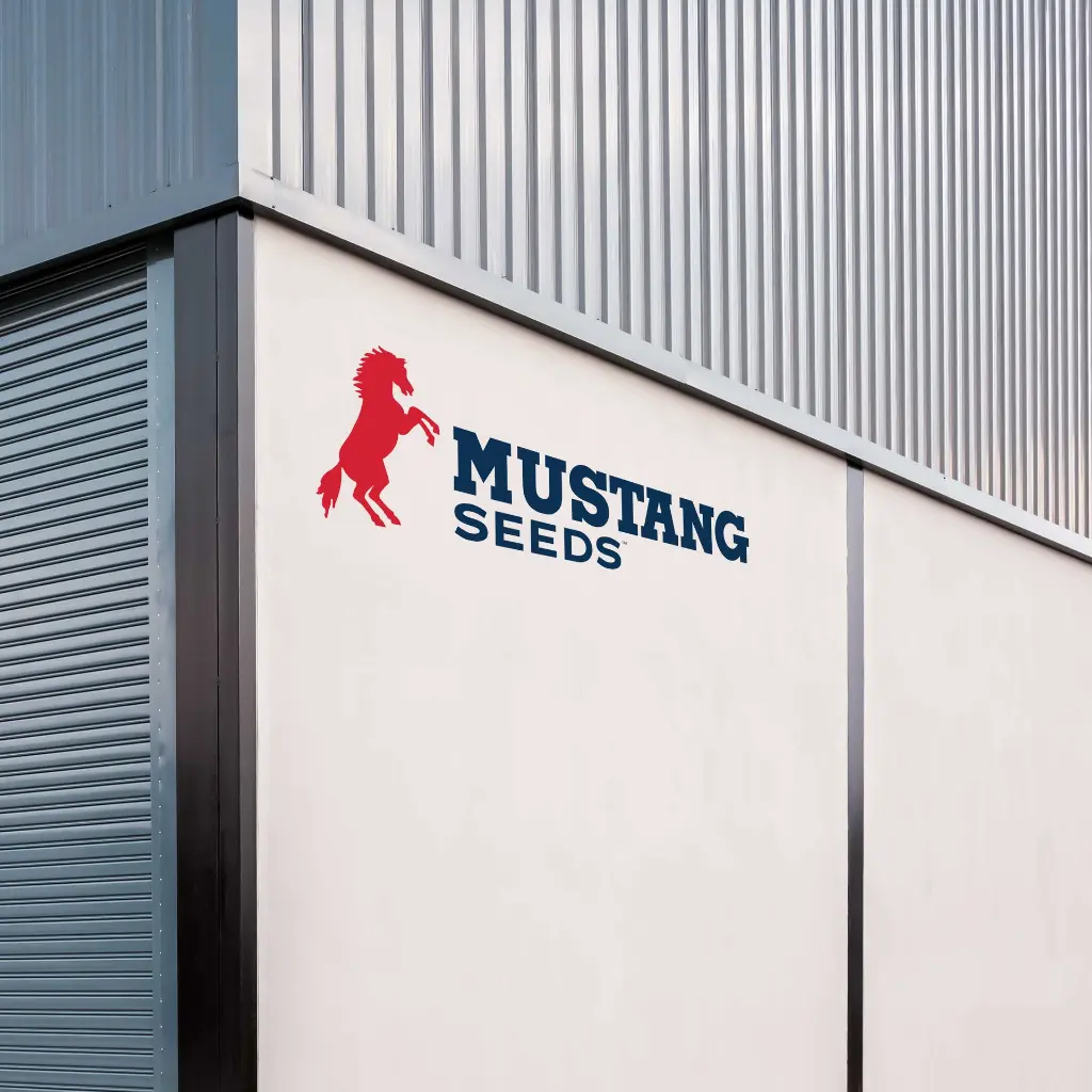 DECAL-MUSTANG2.webp