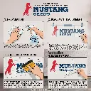MUSTANG INSTRUCTIONS.webp