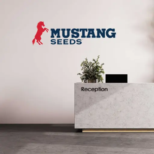 Mustang Decals